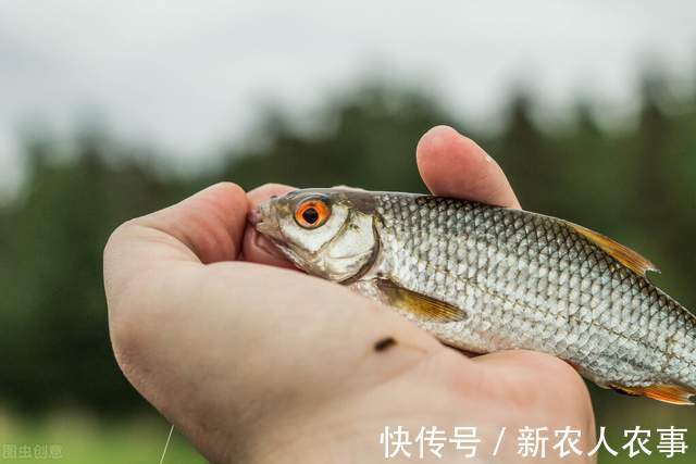 山东钓鱼人组团深海钓大鱼,米级百斤巨物接连上钩,网友:发财了