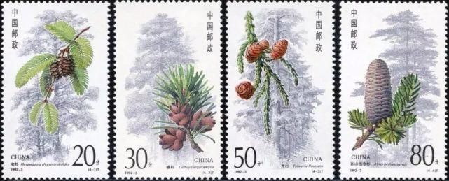 植物画#中国植物画第一人,让世界看到中国植物之美!