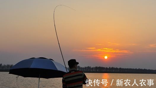 钓了3条鱼要求赔偿五万元，江西3名男子摊上事了，双方都应该反思