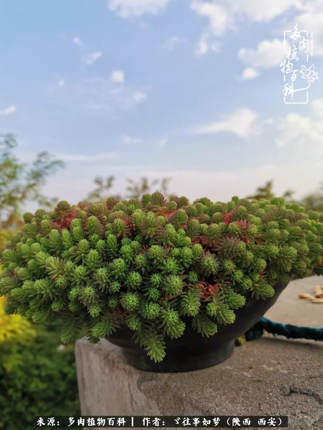 愿你付出甘之如饴,愿你所得归于欢喜!