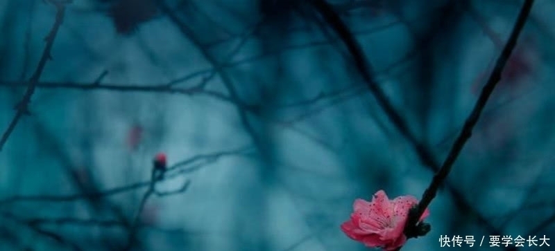 山水空流山|王安石游玩钟山写下一首诗，每一句里有2个山字，表现手法很高明