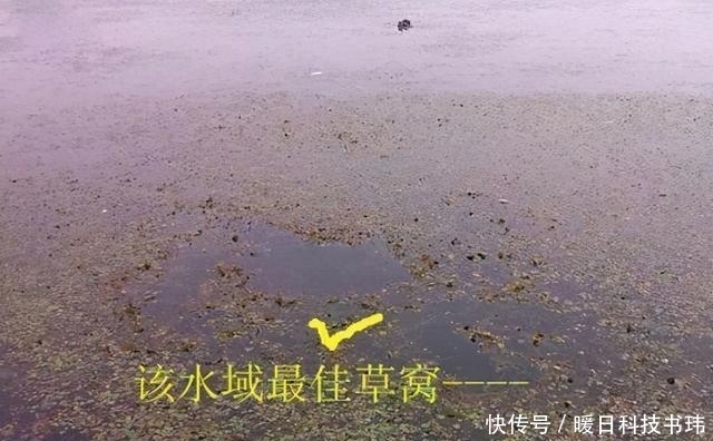 地方|这里的五个地方堪称“黄金宝座”,夏季钓鱼不能错过