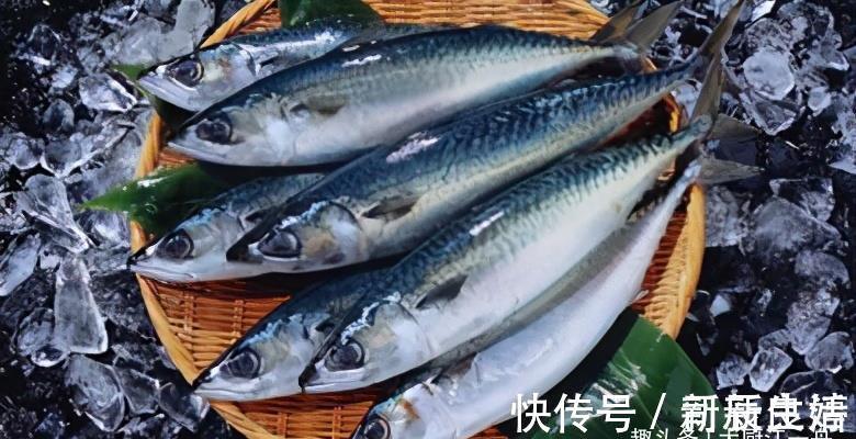 优质蛋白|才知道，这4种鱼营养价值高，市场看见别错过，一次可以多买几斤