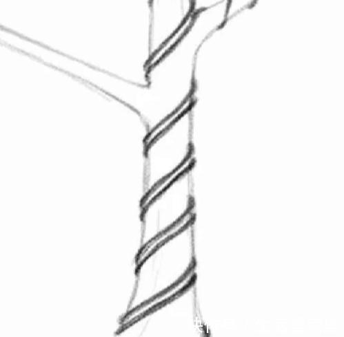 松针|玩盆景不玩松到老一场空,不懂造型,修剪,到老还是空空空