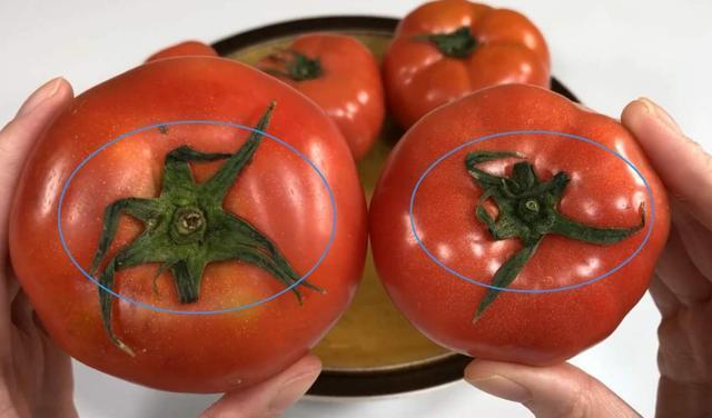 买西红柿时要小心“激素西红柿”,学会4个方法,轻松鉴别