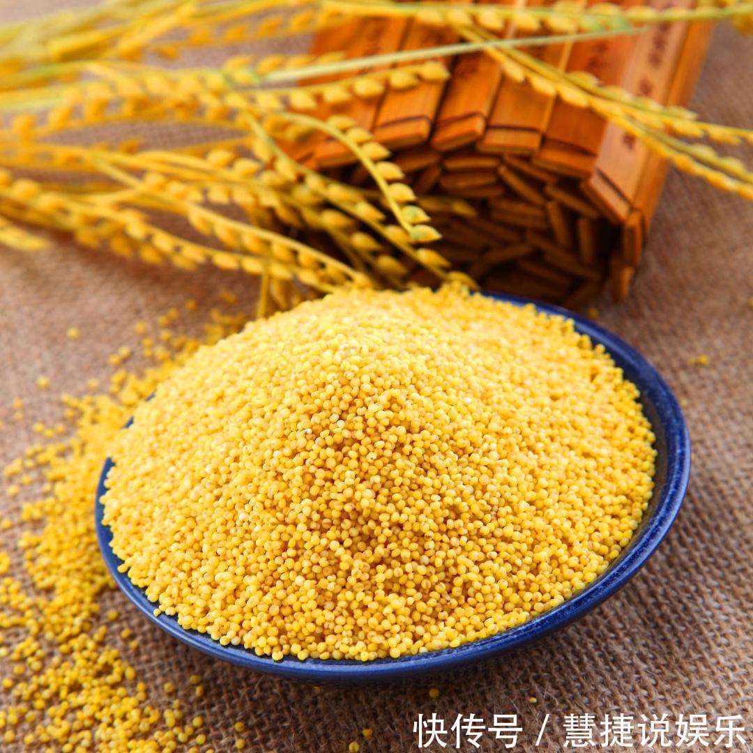 枣仁|小米和此物一起煮,湿气没了,睡眠也好了,不想每天疲惫不堪试试