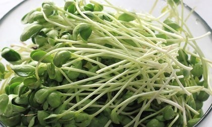 补血护肤|女性到了中年，多食4种食物，补气养血，补血护肤，促进子宫排毒