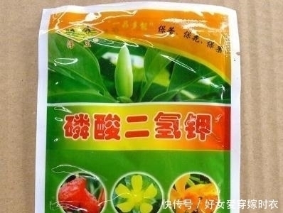 花海|张大爷养花,喷1种水催花,3周冒100个花芽,阳台变花海