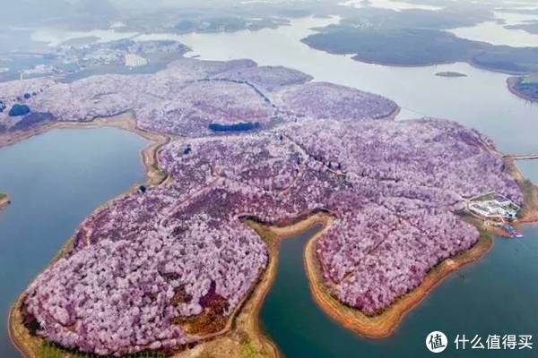中年|全国赏花地图,花期一篇看完!再过10天,全世界都要羡慕死中国了!