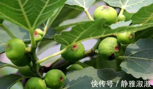 高血壓患者|一旦得了高血壓，6種食物堅持吃，血壓輕松下降，血管也通順了！