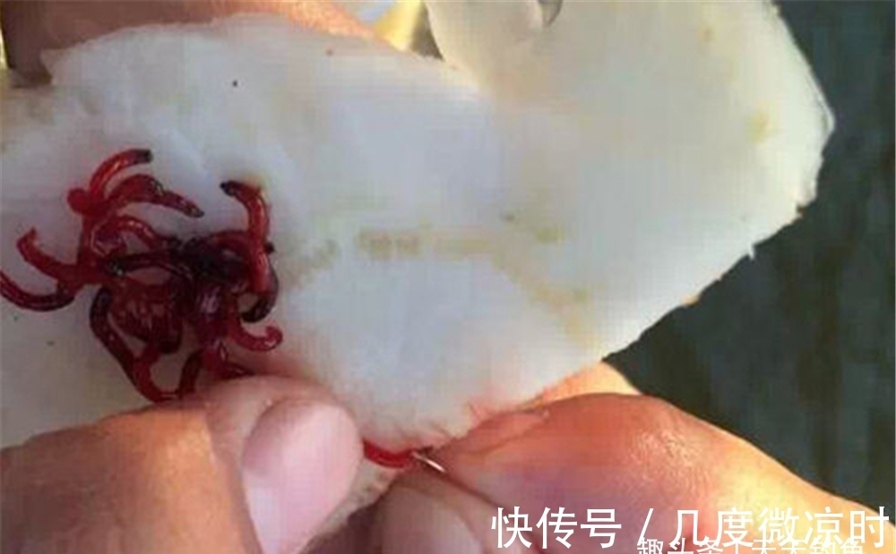 调漂|冬季天冷鱼口轻,给钓组增加一个铅坠,提升灵敏度,专攻轻口鱼!