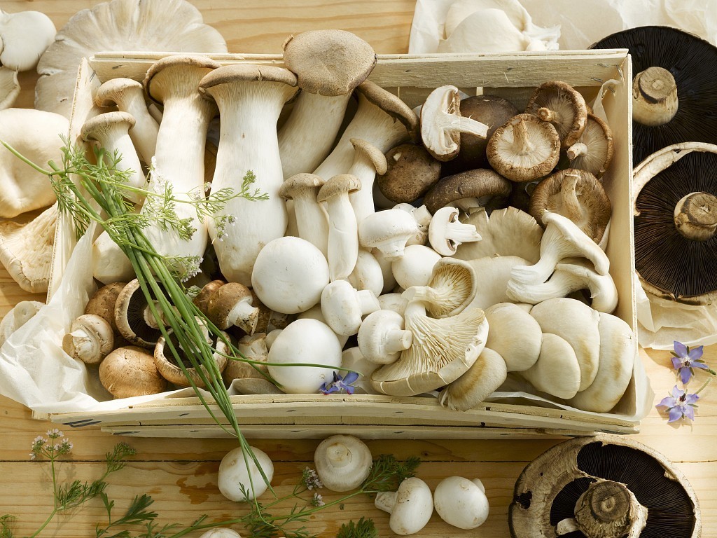 含有|为何免疫力难提高8种食物不要错过,增强免疫力,希望你了解下