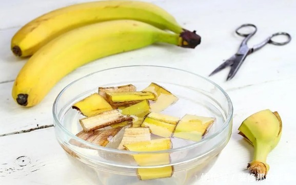 夏日养花,用得上这2样水肥,春天要早做准备才能跟得上需求