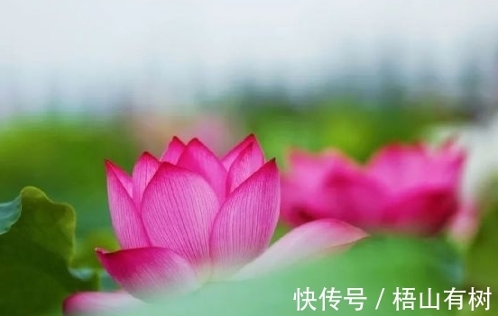 正财|12月下旬，吉星照耀，4属相横财正财连旺，日子富裕安康