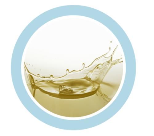 “天生冷白皮”？只是比你会美白而已啦