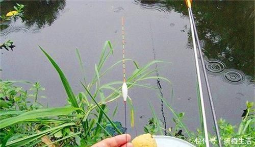 浮漂|钓鱼调漂技巧:想要调漂更准确,这三点绝对不能忽视!
