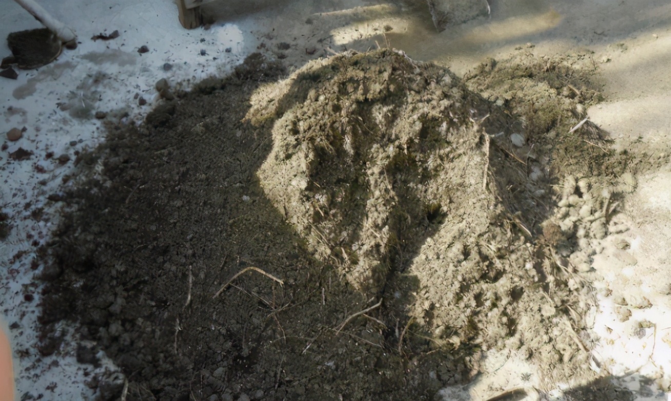 花土问题无小事,牢记3点,养花土不轻易结块,花根长得更壮实