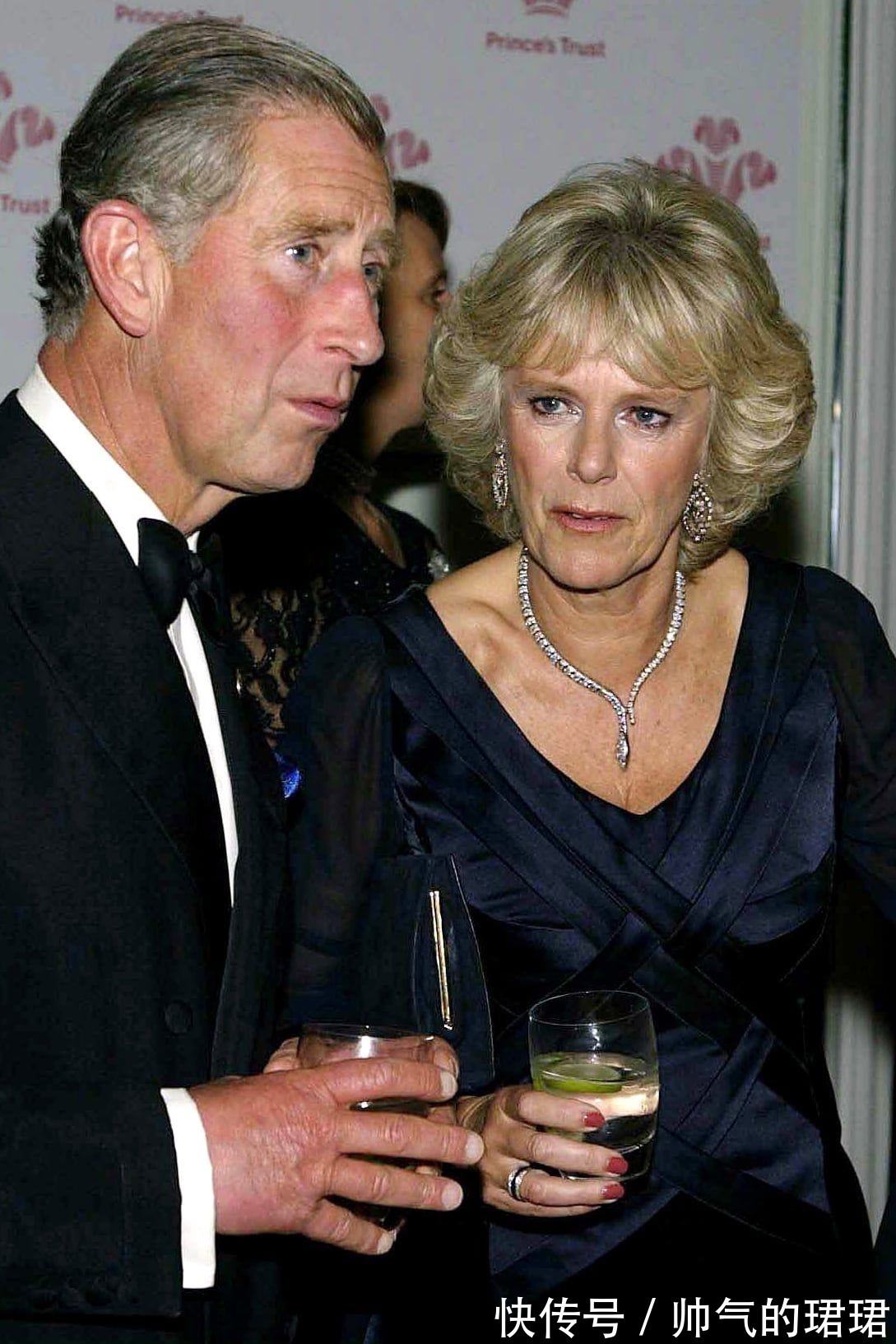 伊丽莎白 卡米拉的蛇形项链20年前做情人时查尔斯送的,蛇蝎气质一目了然