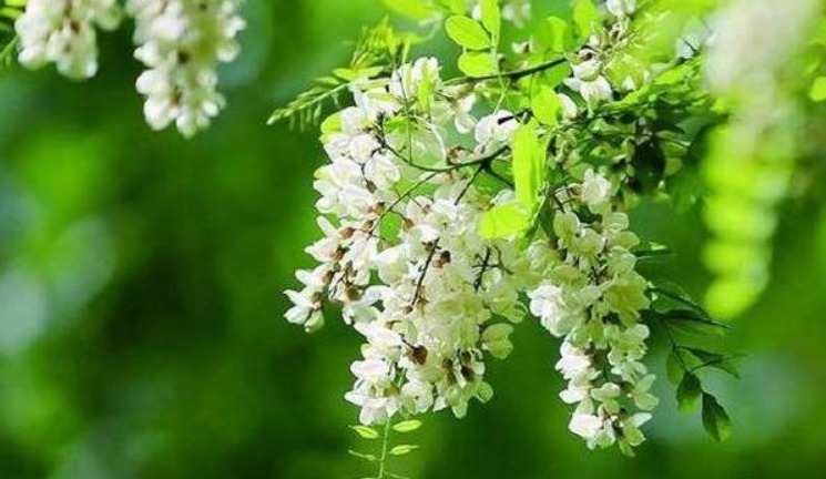 补钙|立秋后，女性适合常吃以下食物，补充营养，刮油排毒、补钙抗衰