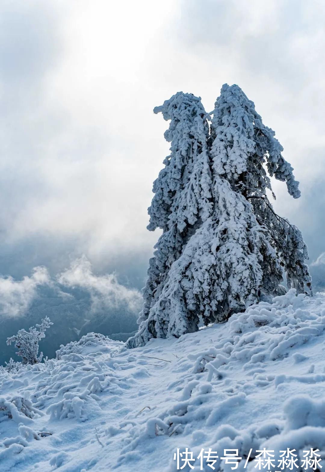 山下|十里风雪天涯路，秦岭雪乡留下吧，紫柏山下是我家