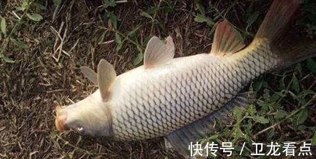 冬季钓鱼，这4种晴天没鱼吃钩，不要去浪费时间！