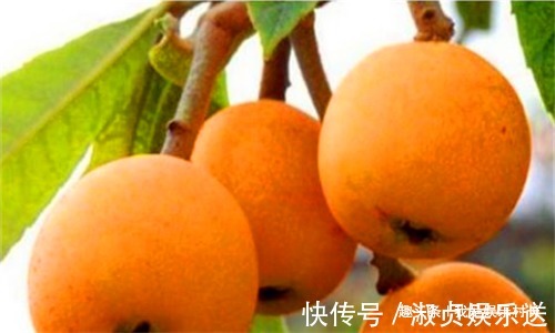 增强体质|女性到了中年多吃3种食物，清肝明目，延缓衰老，增强体质