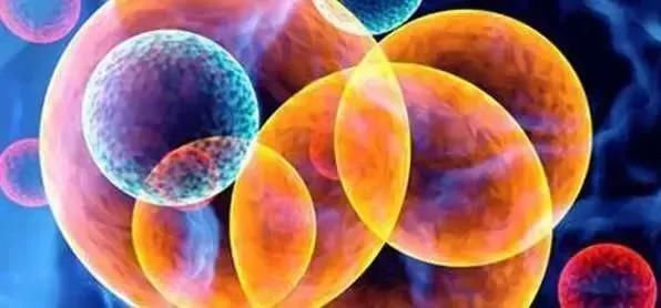 物种 地球不为人知的15大秘密,第一个你就不知道