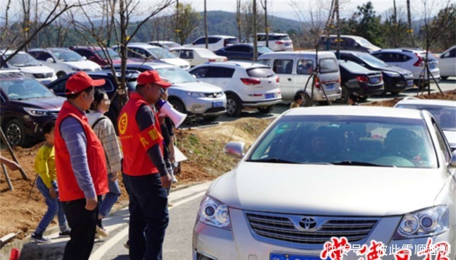 老年|春色撩人,临澧太浮山漫山樱花怒放美景“霸屏”