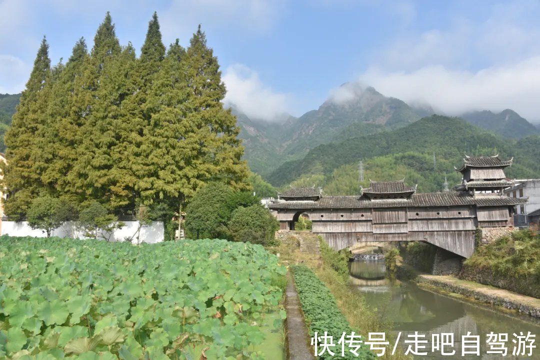 浙南|130座廊桥飞架山水之间，这座小县城被誉为中国最美廊桥之乡