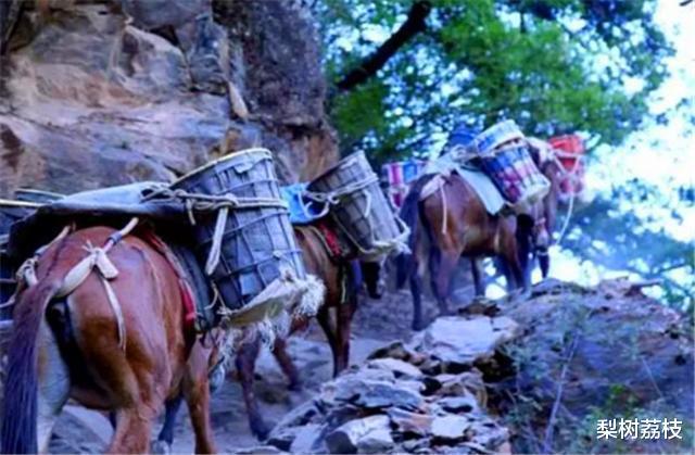 “贵其所无,贱其所有”,明朝不平等贸易对其茶马互市衰亡的影响