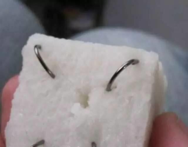 米饭钓鱼技巧很重要,用对了渔获不愁,用错了只能当“钓鱼空军”