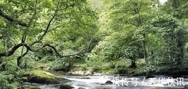 寺院&韦应物闲居赋诗,一首绝句充满闲情逸致,更是百读不厌