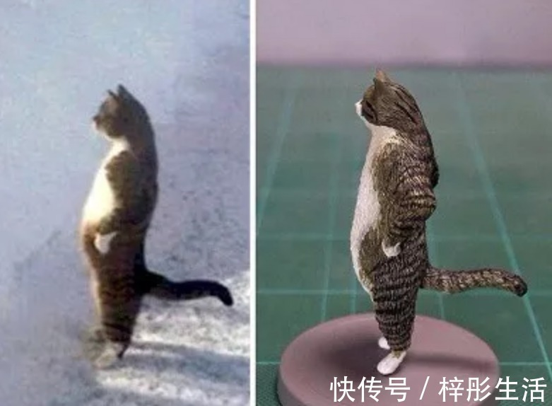 我是谁|他用手工雕塑高度还原魔性动物表情包,这画风也太搞笑了吧!