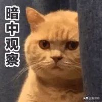 宝格丽|埃及艳后和英国女王戴着它才安心，这个护身符有点厉害
