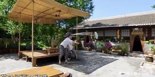 年龄|存在年龄差的群居生活综艺中,宋丹丹成为了“大家长”人设