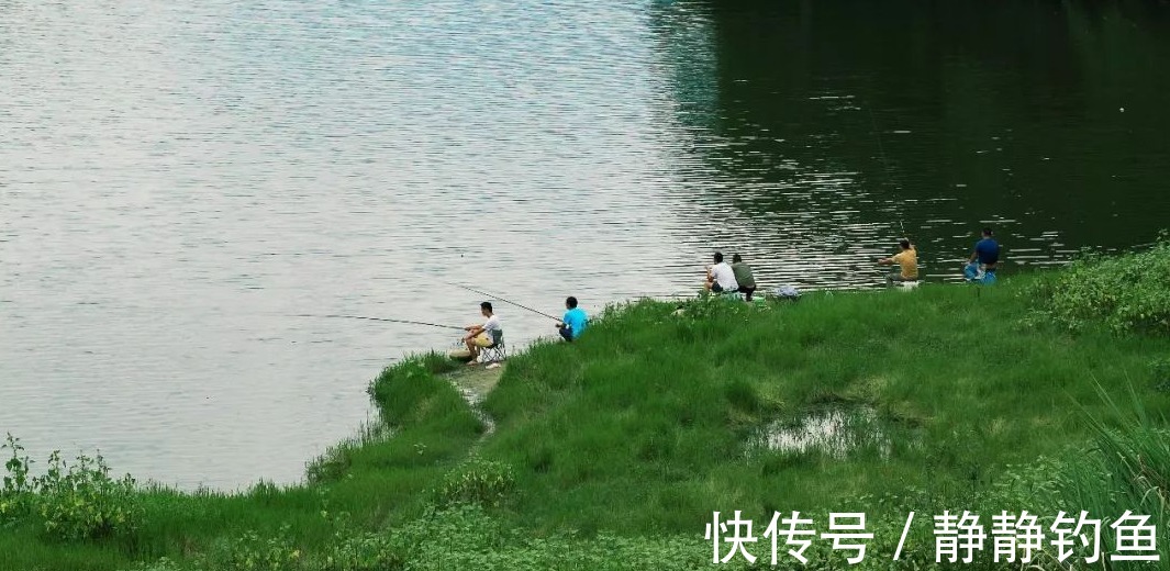 面对不同季节不同的鱼情，如何选择最合适的浮漂？这几点要牢记