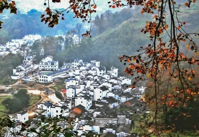 长溪村|婺源赏枫长溪村，石城游记