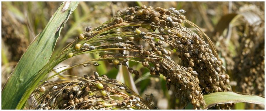 动脉硬化|血脂高不高,看脸就知道,若没有这3个症状,恭喜血脂控制得不错