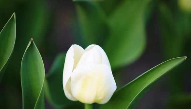 不请自来|多少人败在不会做人牢记四字真言,人生少有灾祸,福气不请自来