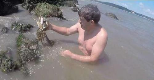 男子去海边，听到岩石旁有异响，去看以后赚大了！