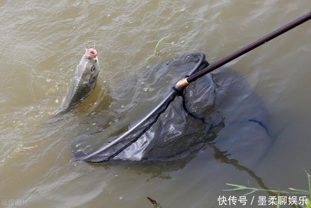 入冬野钓没有鱼?记住找这3种地方,大鱼一样能上