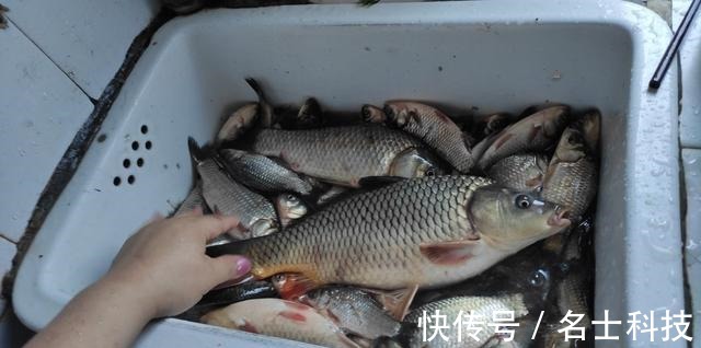 深水|晚秋钓鱼,三种钓位不下竿,三种天气不钓鱼,这种天气能爆护。