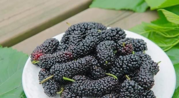 补肾|天然“养肾王”找到了，男性每天吃点，补足肾气，肾脏更健壮！