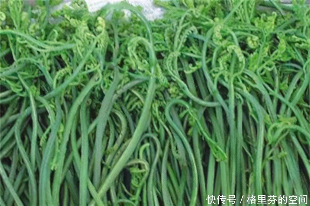 會吃的人最健康,3種食物經常吃,排毒消脂,抗衰老,增強抵抗力