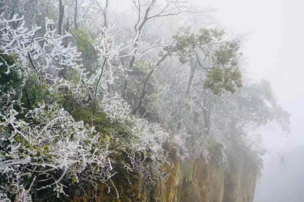 武鸣大明山化身“冰雪世界”， 雾凇云瀑美如仙境！