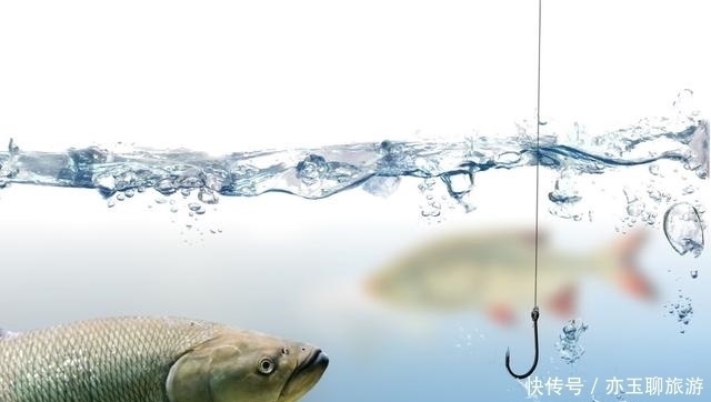 长子|钓鱼可能从来没有想过认真分析这两点，这才是夏季获鱼的要点所在