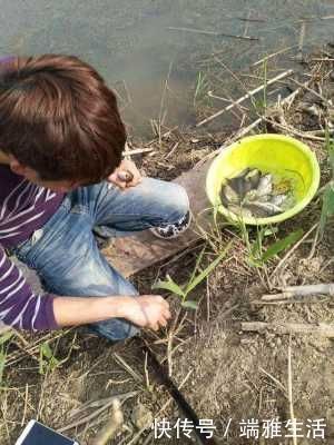 鲫鱼|民间“钓泡法”钓鱼，鲫鱼多得让你吃不完
