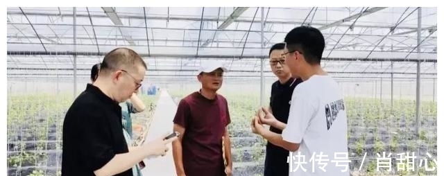 电商|不再是惦记几捆白菜？人民日报做出肯定，马云可以放心了！