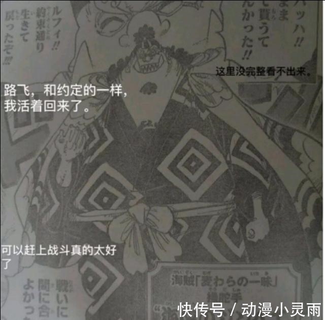 锦卫门|海贼王976话:黑化强十倍剧情来袭,勘十郎神级果实能力一挑众人!