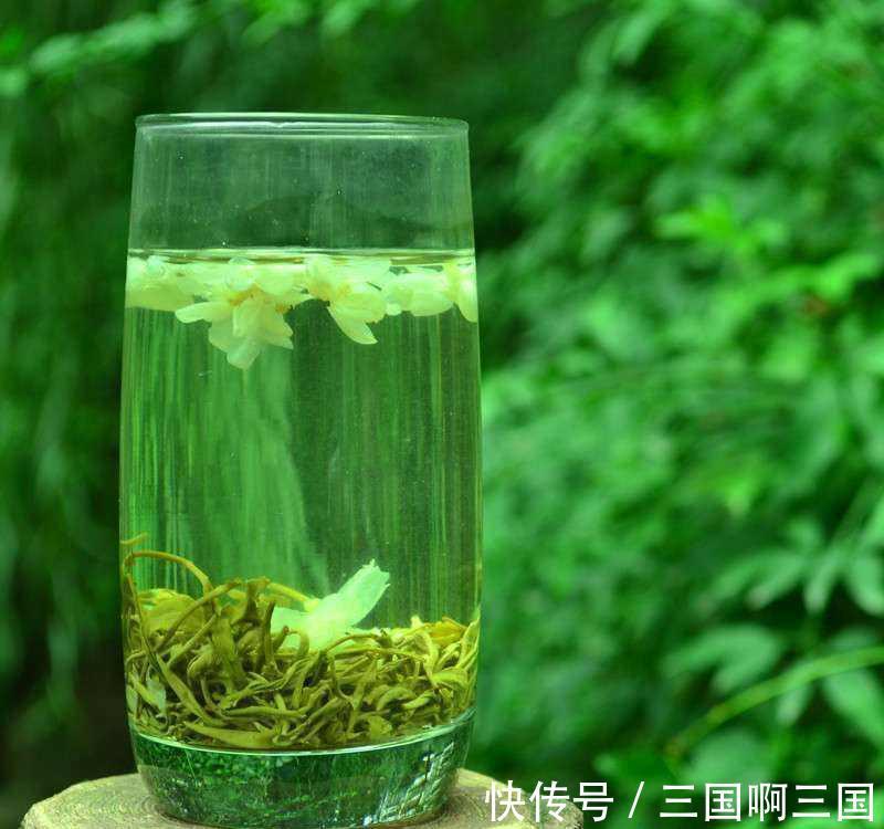 8种花“作用大”,香气满屋能泡茶,你养着花漂亮,花养着你健康